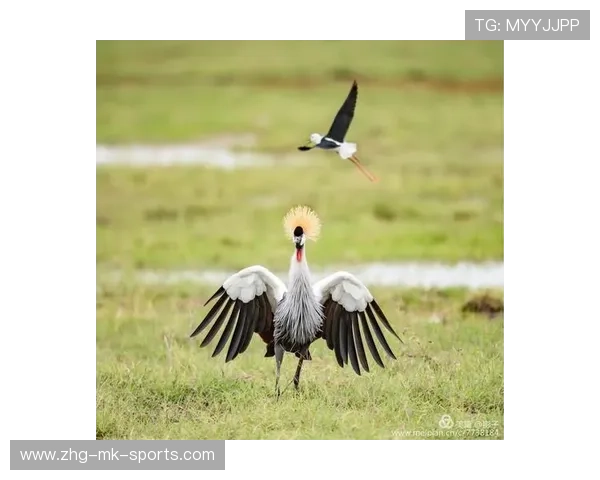 拳击手的闪身反击成为当晚最精彩瞬间